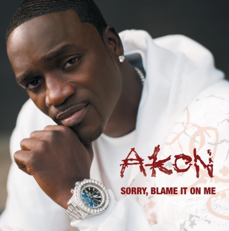 makna-lagu-sorry-blame-it-on-me-akon