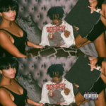 makna-lagu-flex-playboy-carti